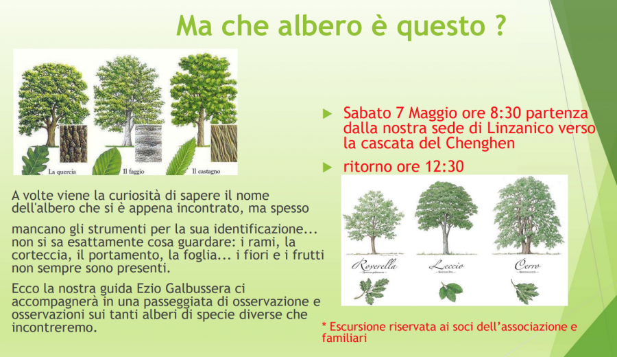 Schermata_2022-04-27_alle_11.42.56